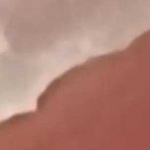 Profile image of Fox-like Merimo