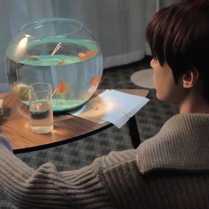 김도영