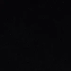 RearShark4854의 남진혁