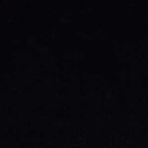 남진혁