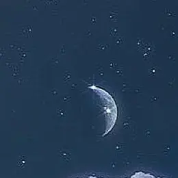Profile image of パイモン