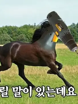 Iamkarena의 스키비디,트레버헨더슨 수학여행!+여우