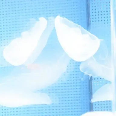 Profile image of 永山吐夢