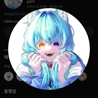 Profile image of 료미