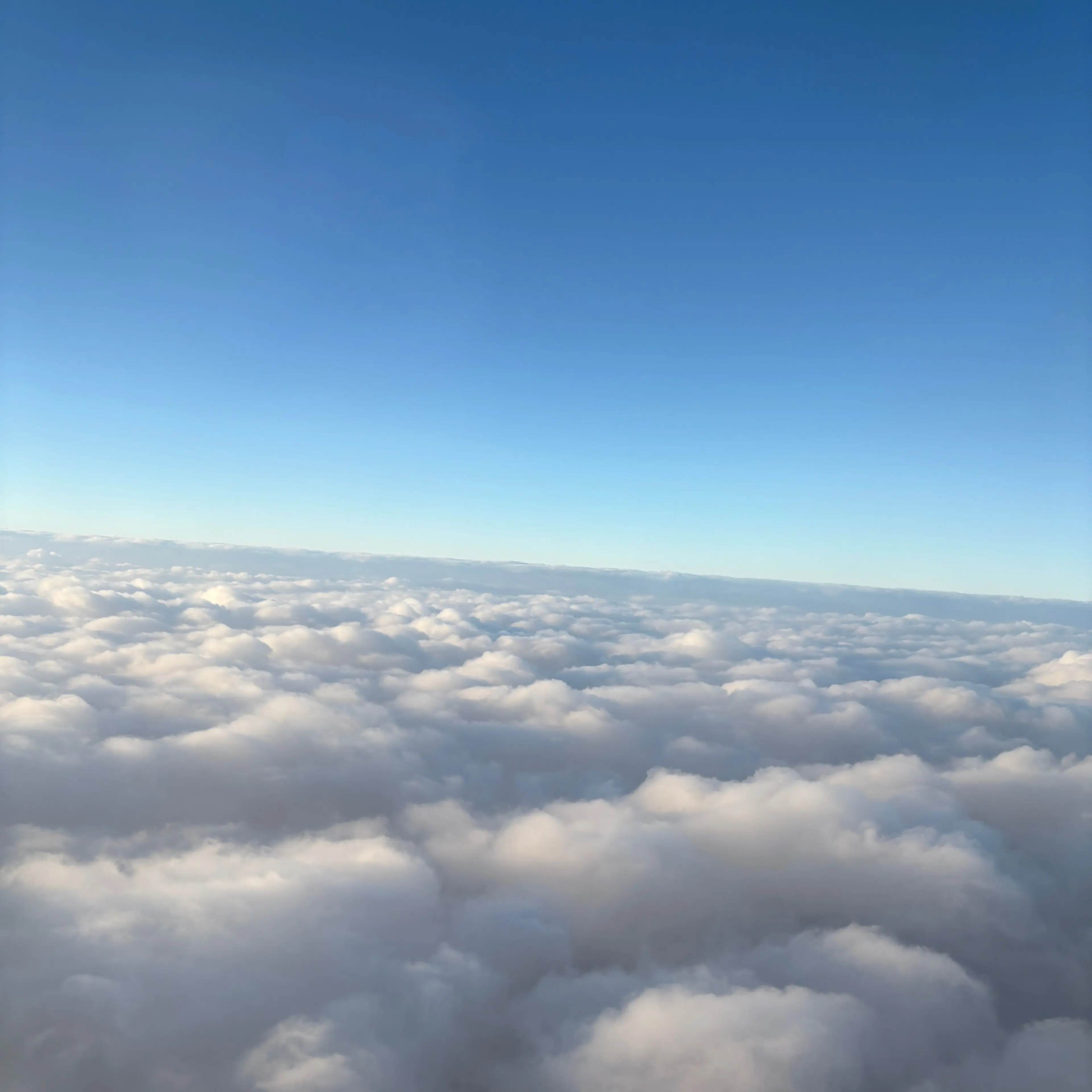 FutureOven6168의 환혼