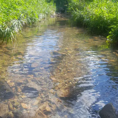 Profile image of 말포이