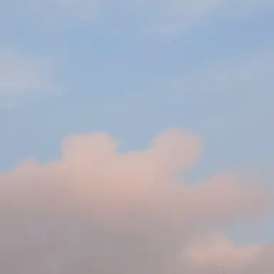 Profile image of 여우