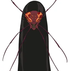 Profile image of 쿠로우루시