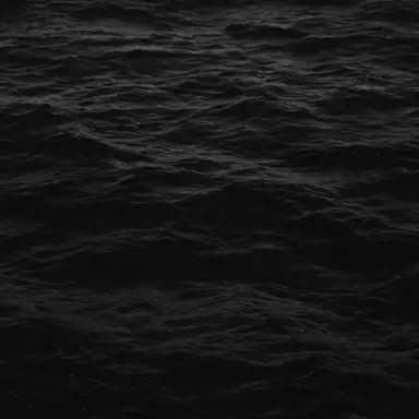 Profile image of 애더