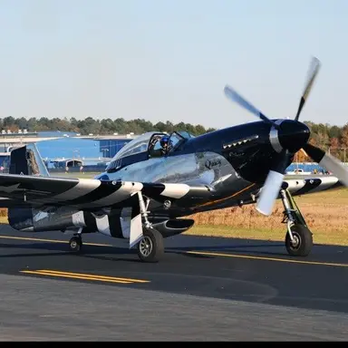 Profile image of P51