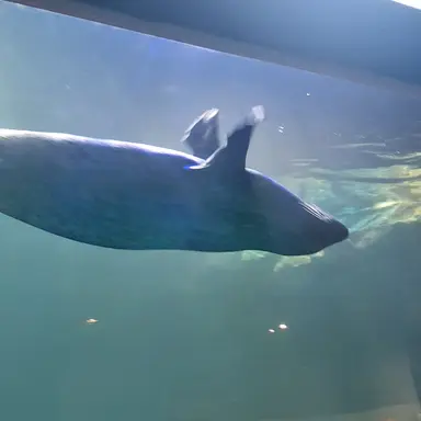 Profile image of 서라더