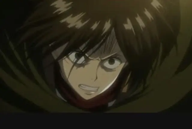 Profile image of ミカサ