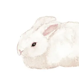 Profile image of 白玉