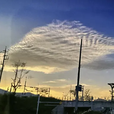 Profile image of 유지민