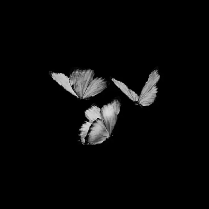 Skream의 分かっているから