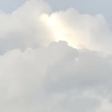 Profile image of しょうた