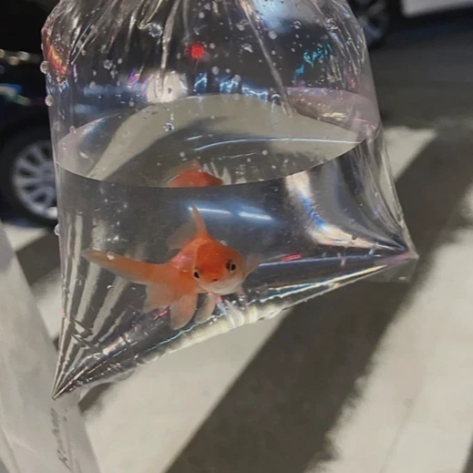 이태오