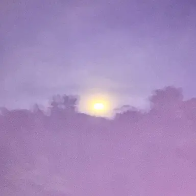 Profile image of 桜