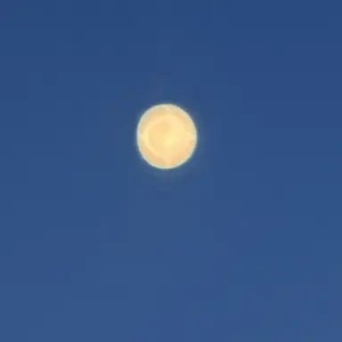 Profile image of 각별