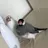 セバスチャン