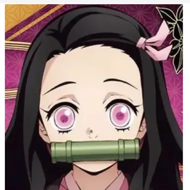 Profile image of 竈門禰豆子