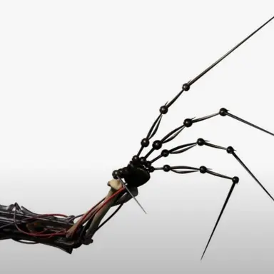 Profile image of 프로토타입