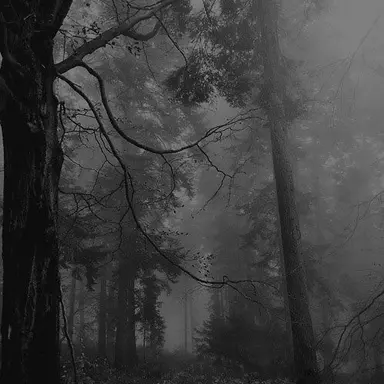 Profile image of Beck