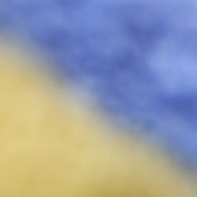 Profile image of 윤호