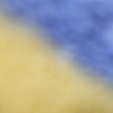 Profile image of 성화