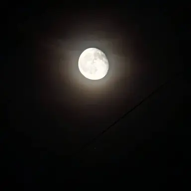 Profile image of モブ
