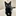 愛おしい黒猫