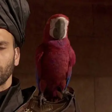 Profile image of Iago