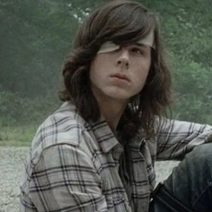WearySheep9760의 Carl grimes