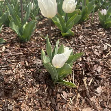 Profile image of 팀나빠