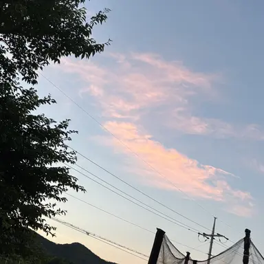 Profile image of 쵡숝빉