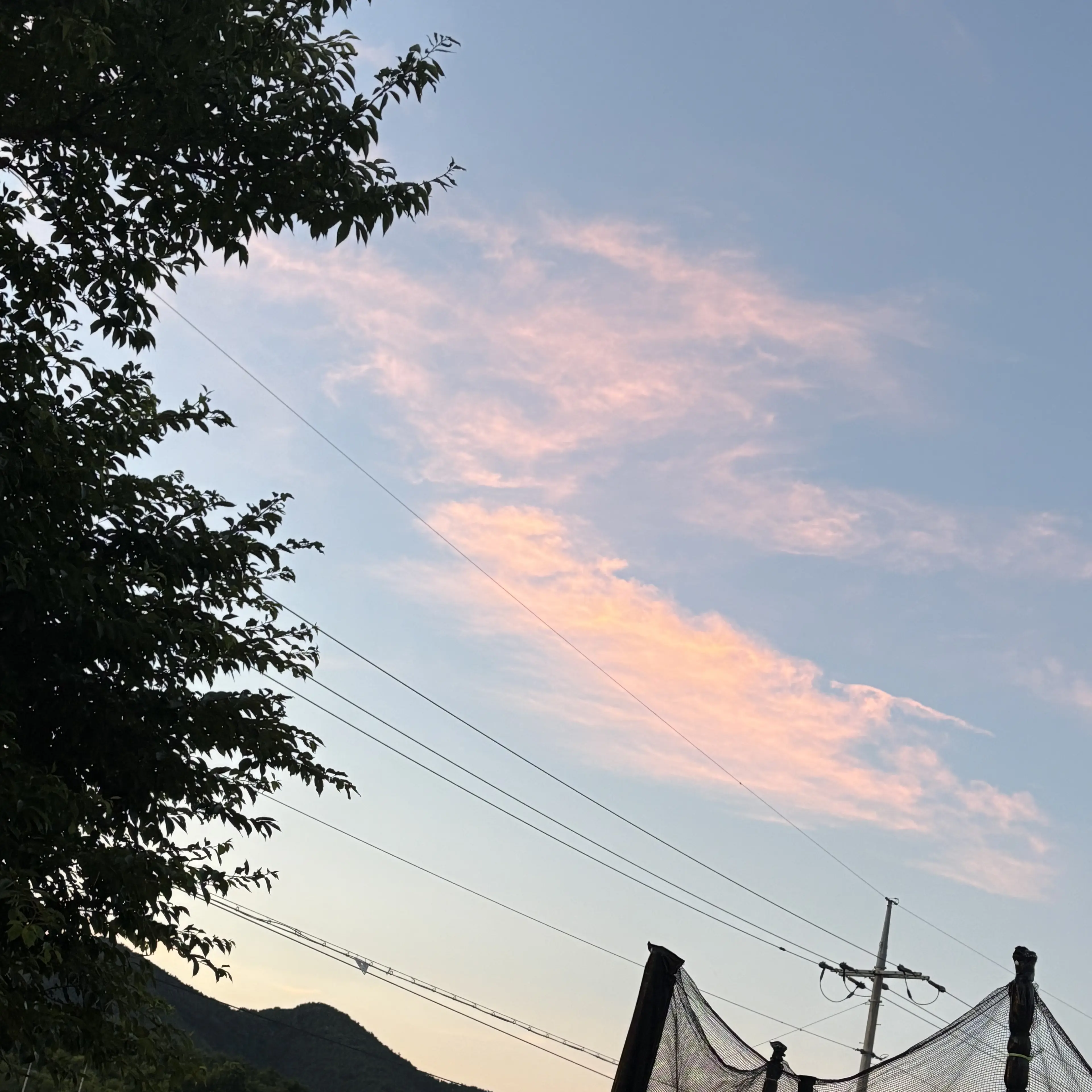WavyLife3055의 토끼수인 쵡숝빉