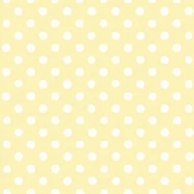 Profile image of きら