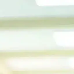 Profile image of 담임선생님