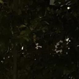 강.태.현
