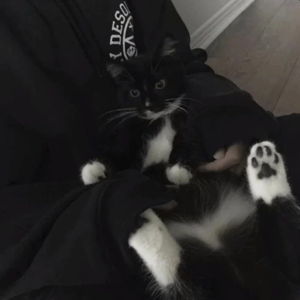 조 민 혁