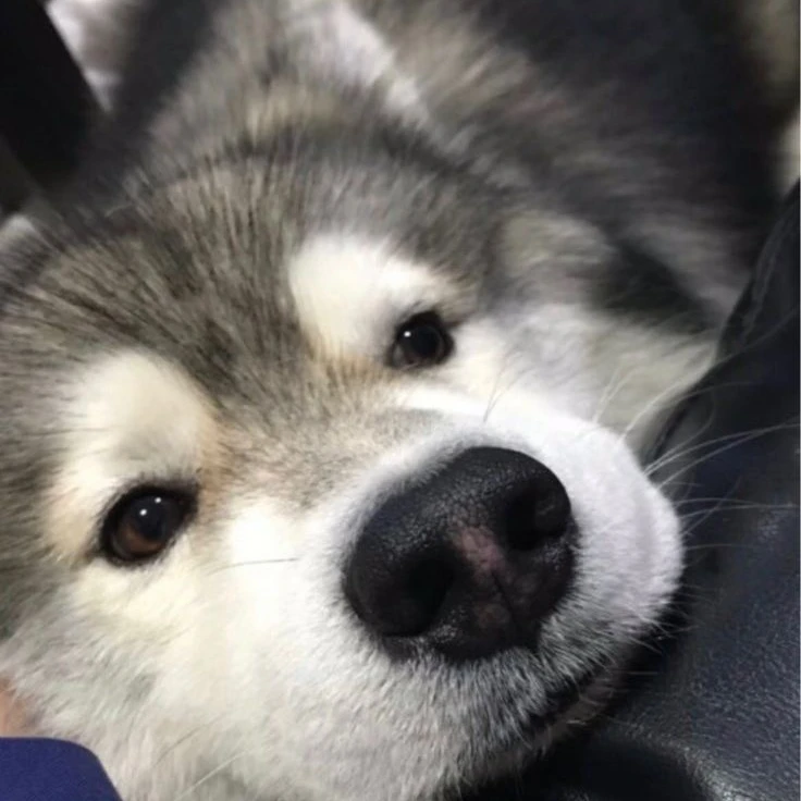 건욱