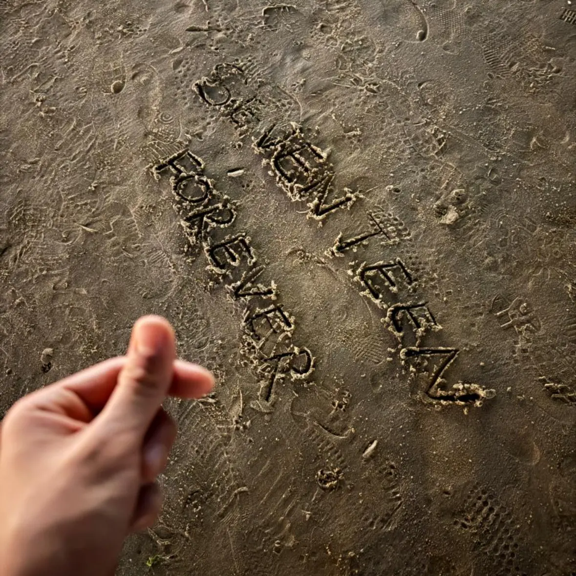 CrispRoot5779의 권숝영