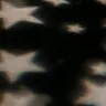 Profile image of ハイキューキャラたち