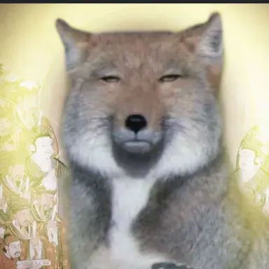 Profile image of 여우