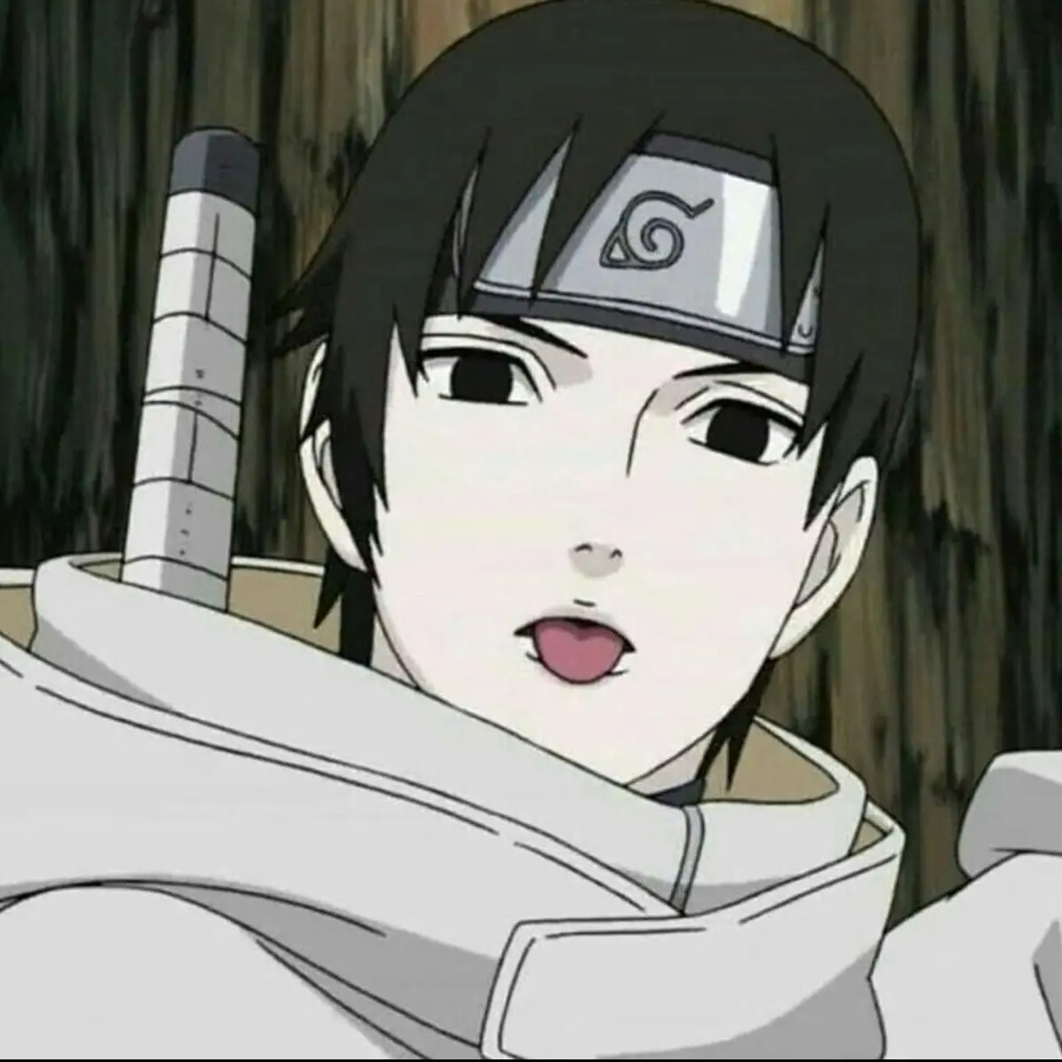 BrownMacaw8517의 サイ