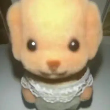 Profile image of 소정