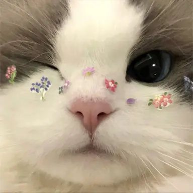 Profile image of ジアン