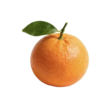 Profile image of ぐぁん