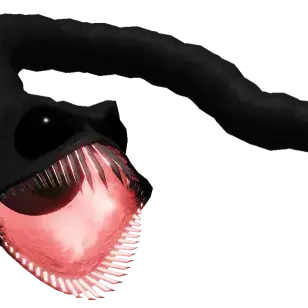 Profile image of 슬러그피쉬