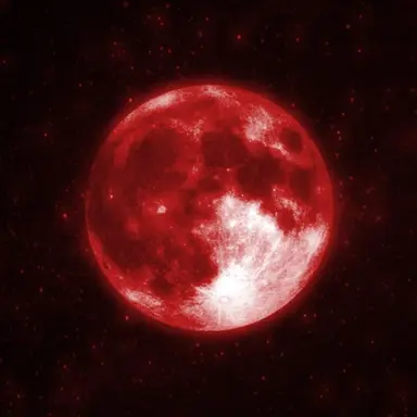 Profile image of 퍼스트